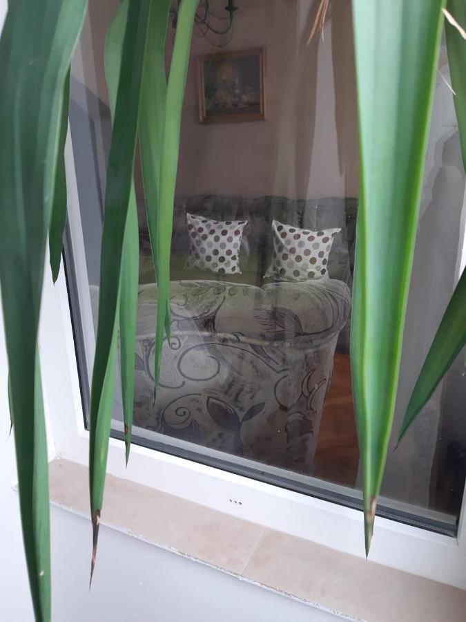 Pelican Proxy Apartment Oradea Eksteriør bilde